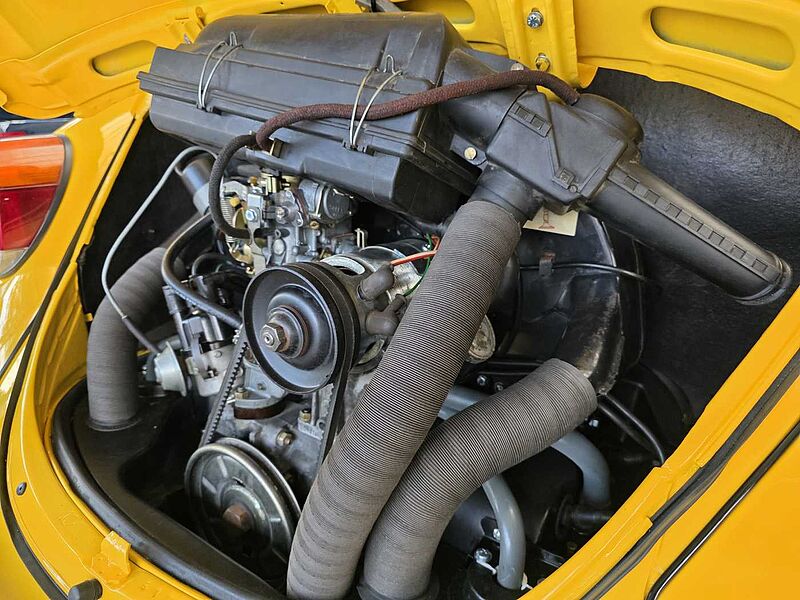 Volkswagen Käfer 1200 Sunny Bug Sondermodell 1.800 Stück wurden gebaut